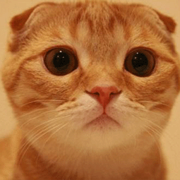 instagram苹果免费永久加速器